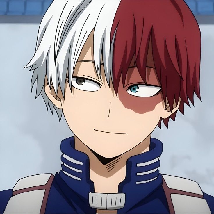 Todoroki Shouto