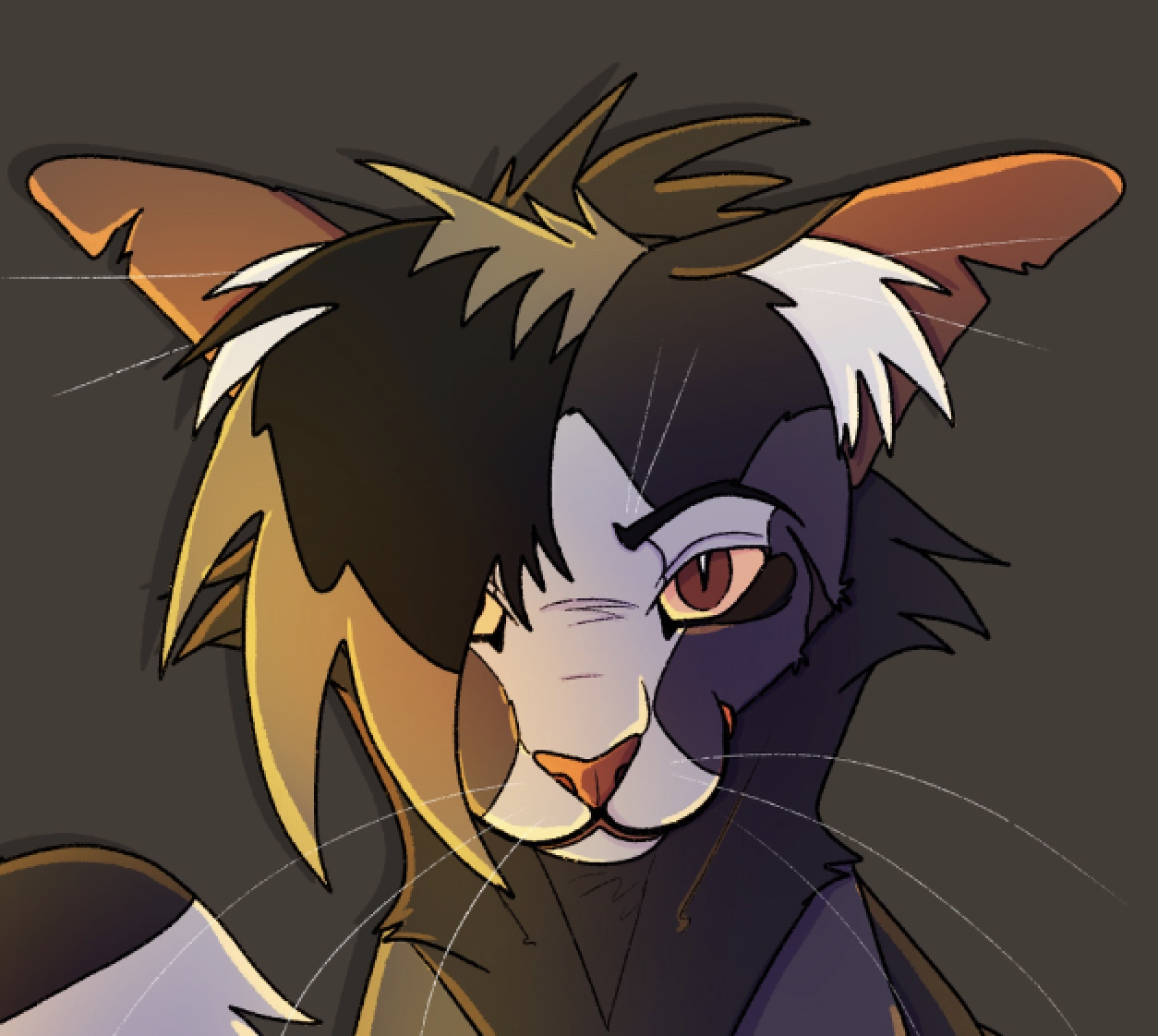 Stormpaw