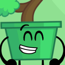 Bonsai