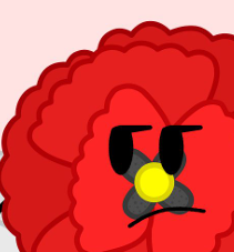 Poppy
