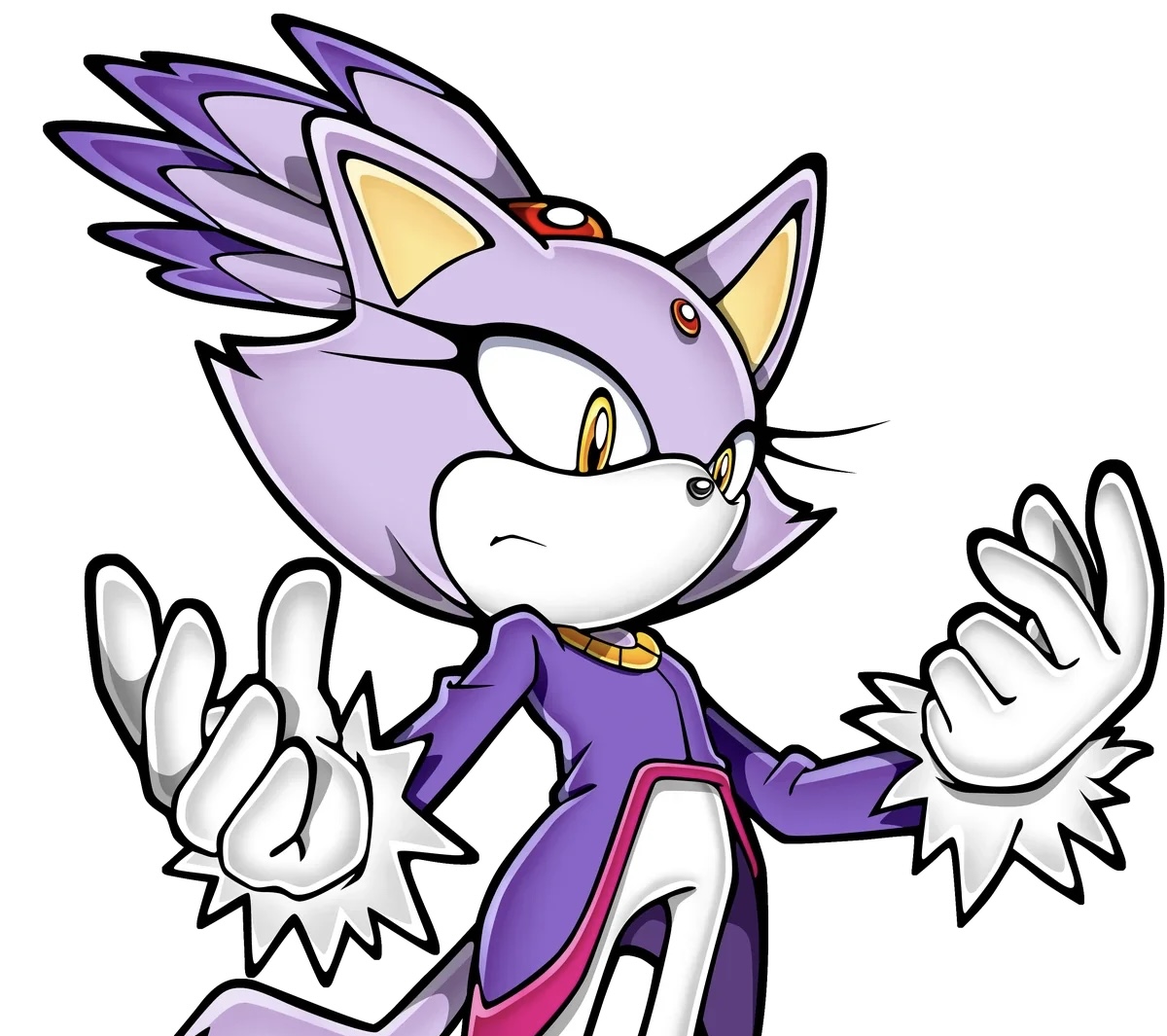 Blaze The Cat