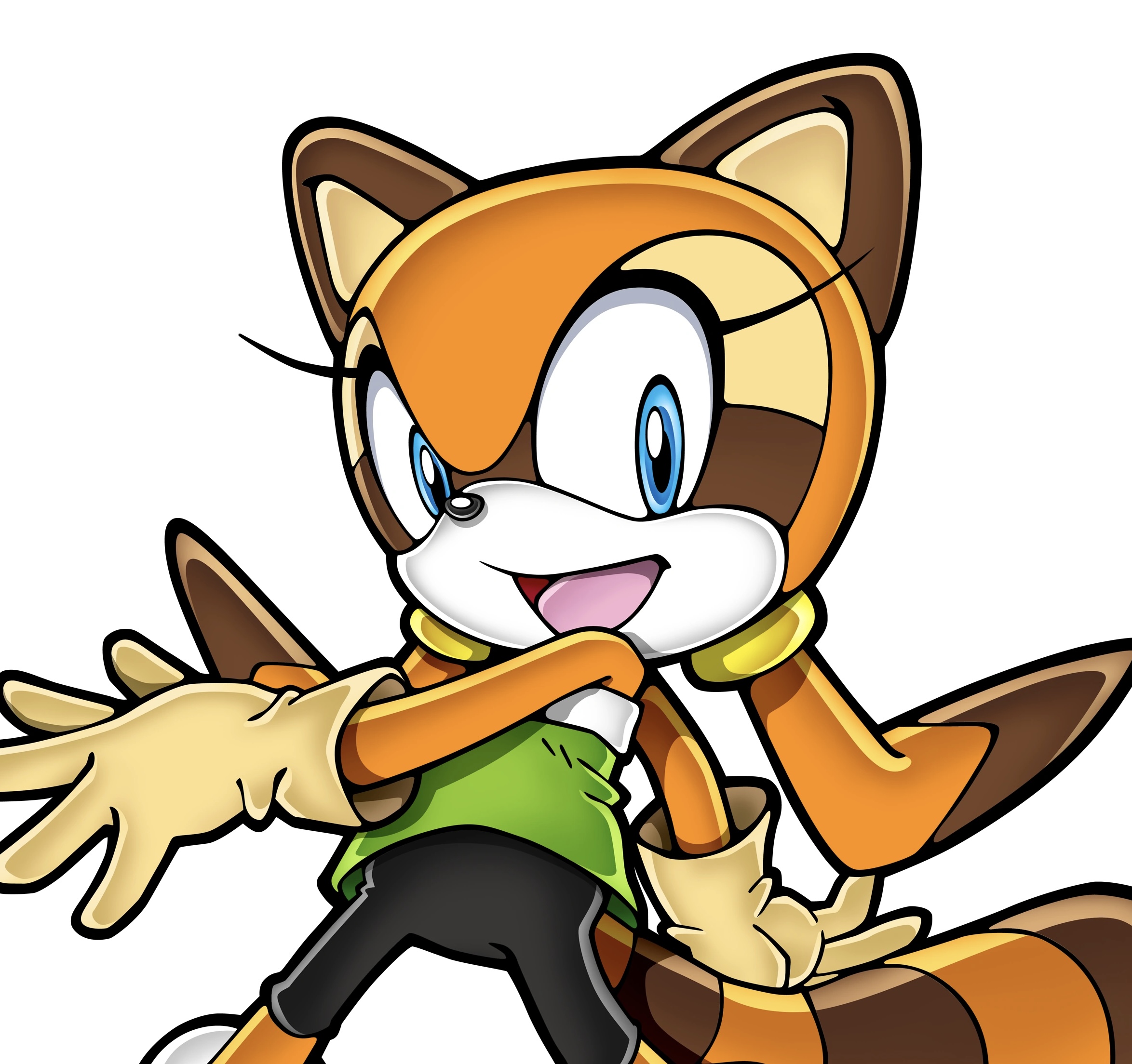 Marine The Raccoon