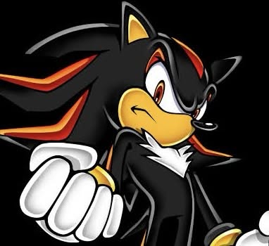Shadow The Hedgehog