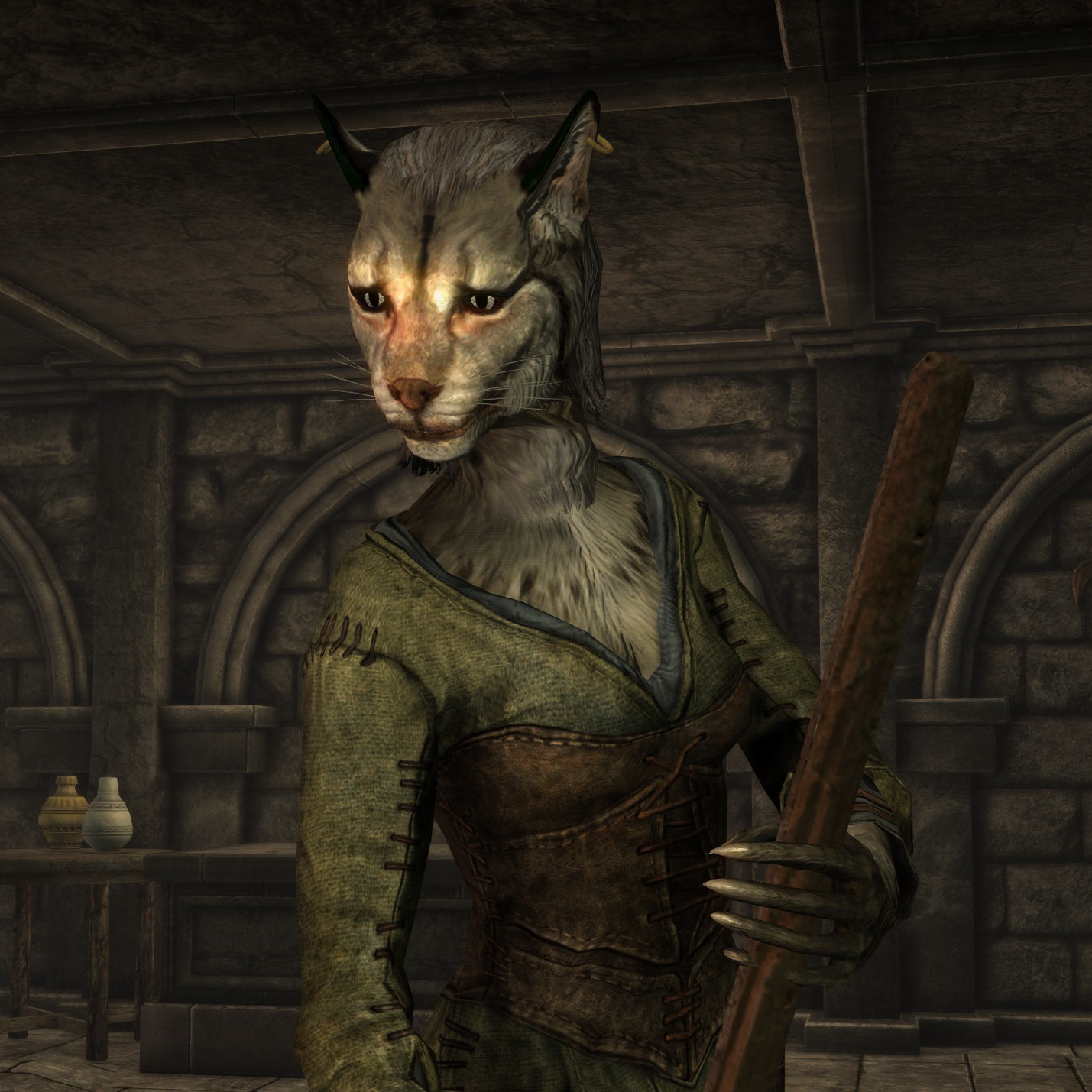Zajani