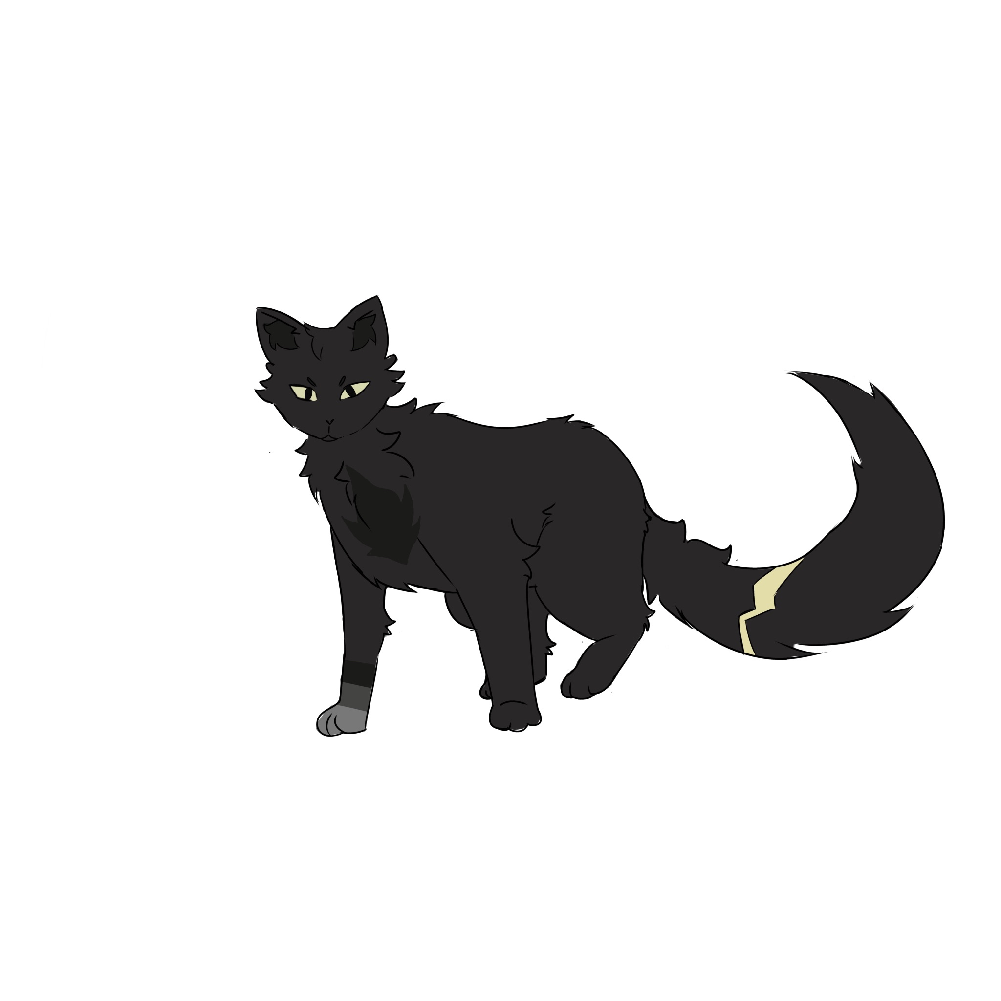thunder-tail