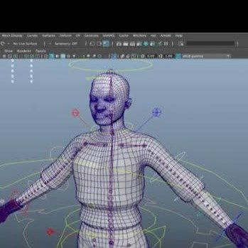 3D Animator