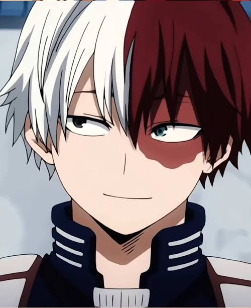 Shoto Todoroki