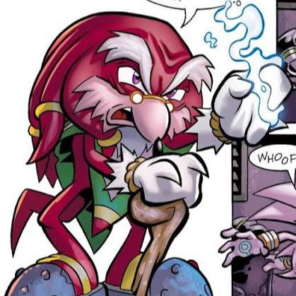 Edmund the Echidna