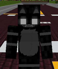 Shadow Midnight (Main Character) (really needed)