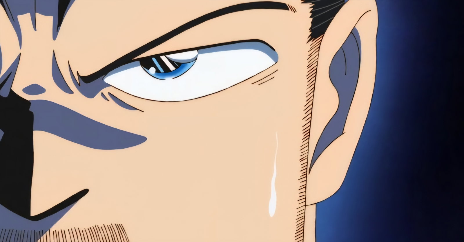 RAIZO MINE / Sayaka's Father / Supporting Character