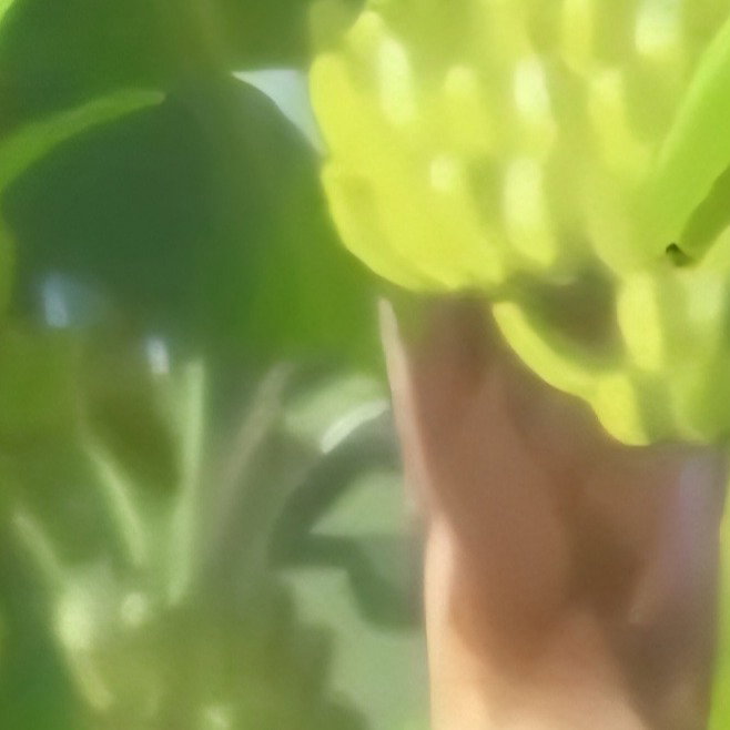 BANANA PACK GUY 3 / Background Extra / Comedy