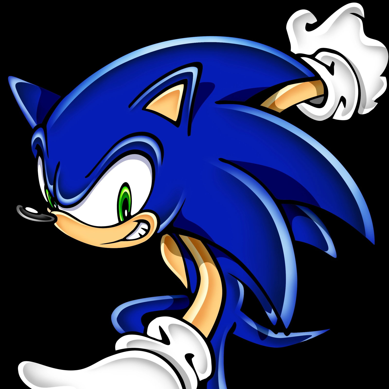 SONIC THE HEDGEHOG