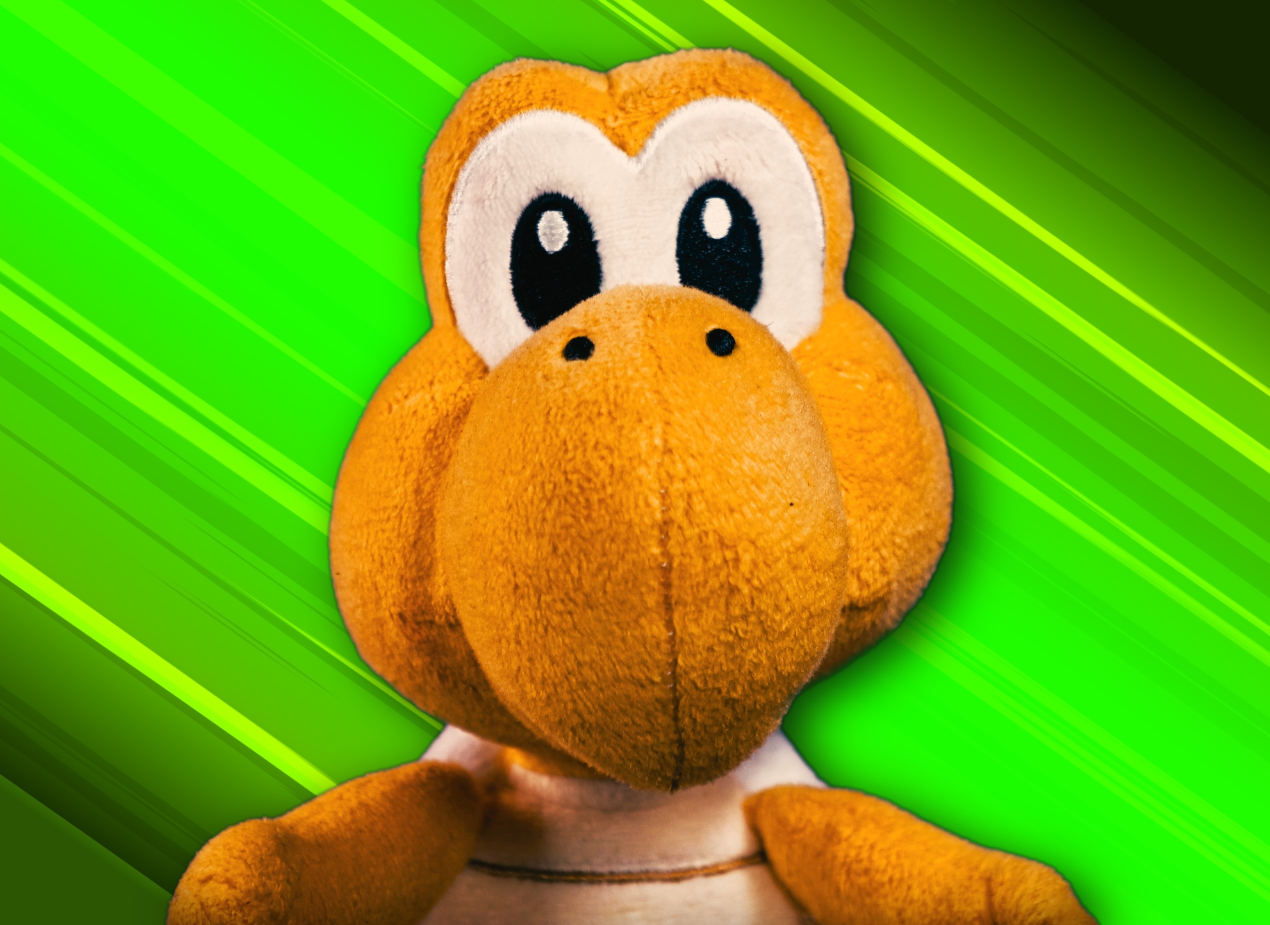 Braces Best Friend/Koopa The Quick