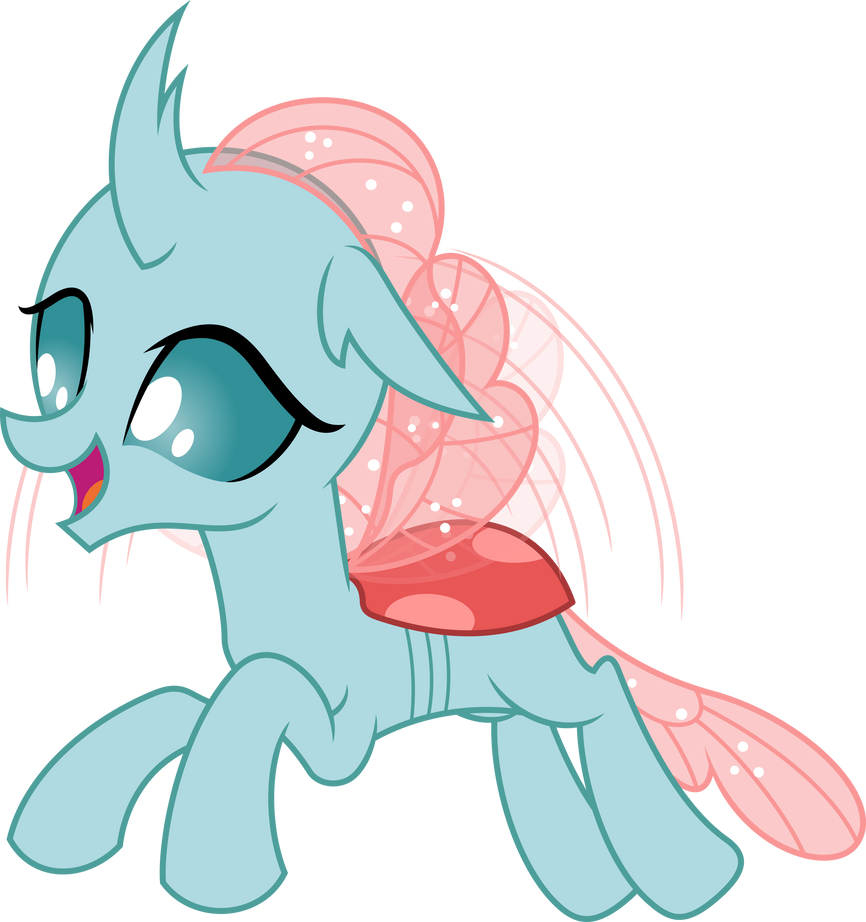 Ocellus