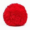 PomPom
