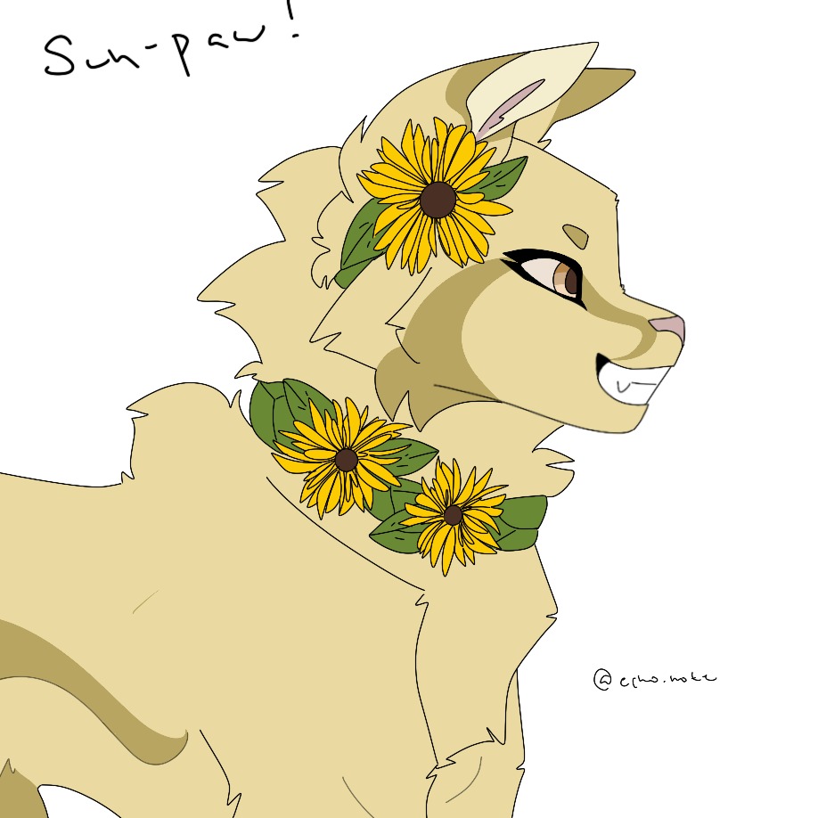 Sun-paw