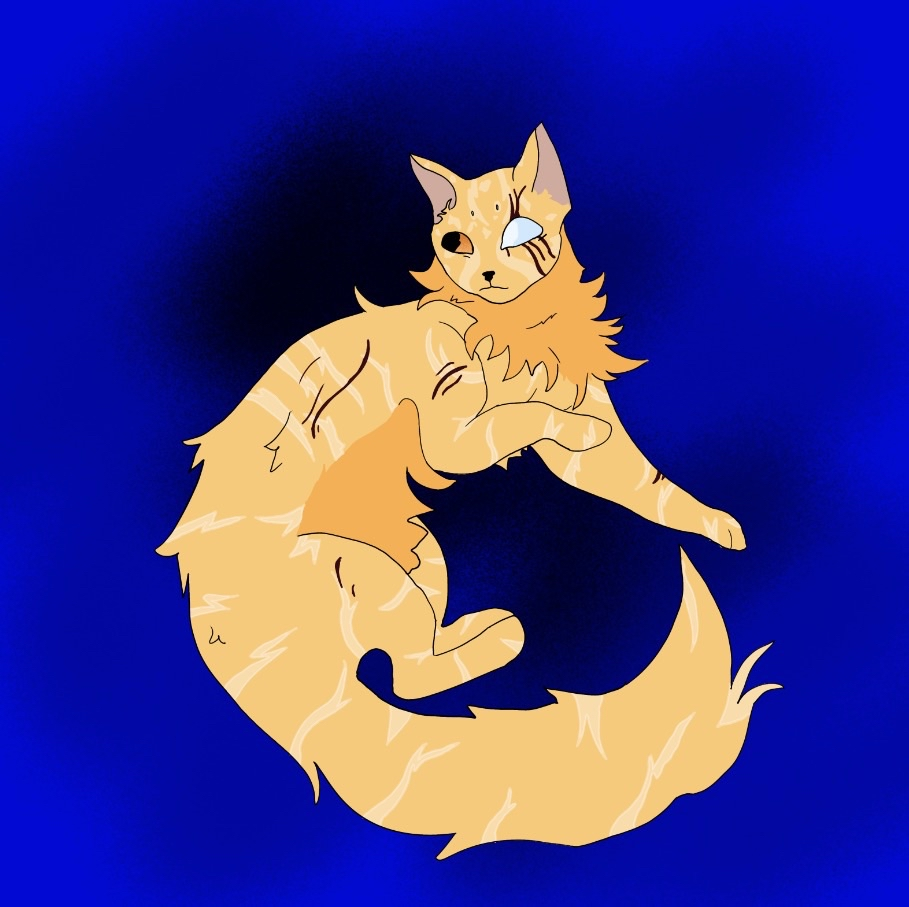 Lion-fight 