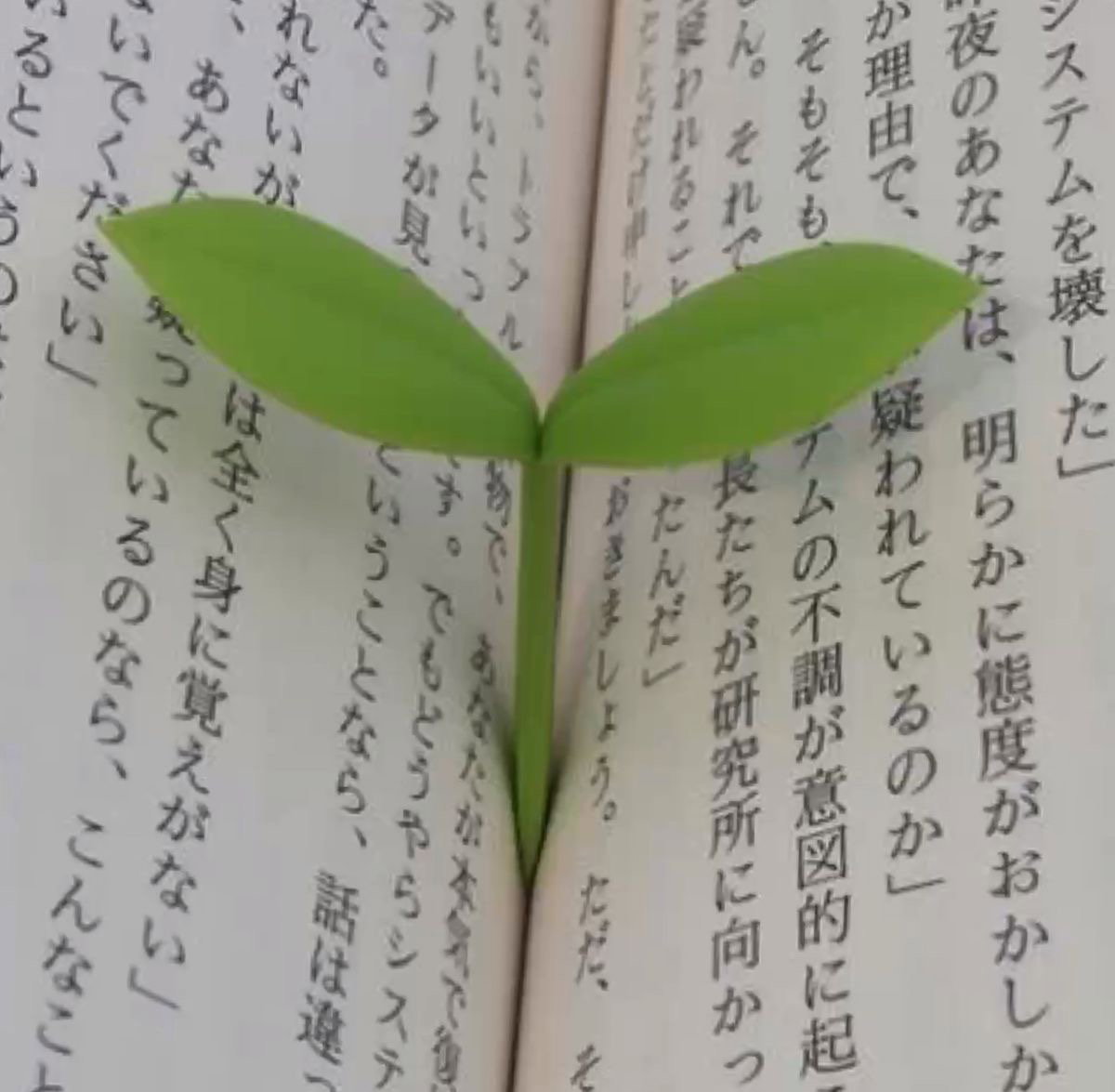 Student 10