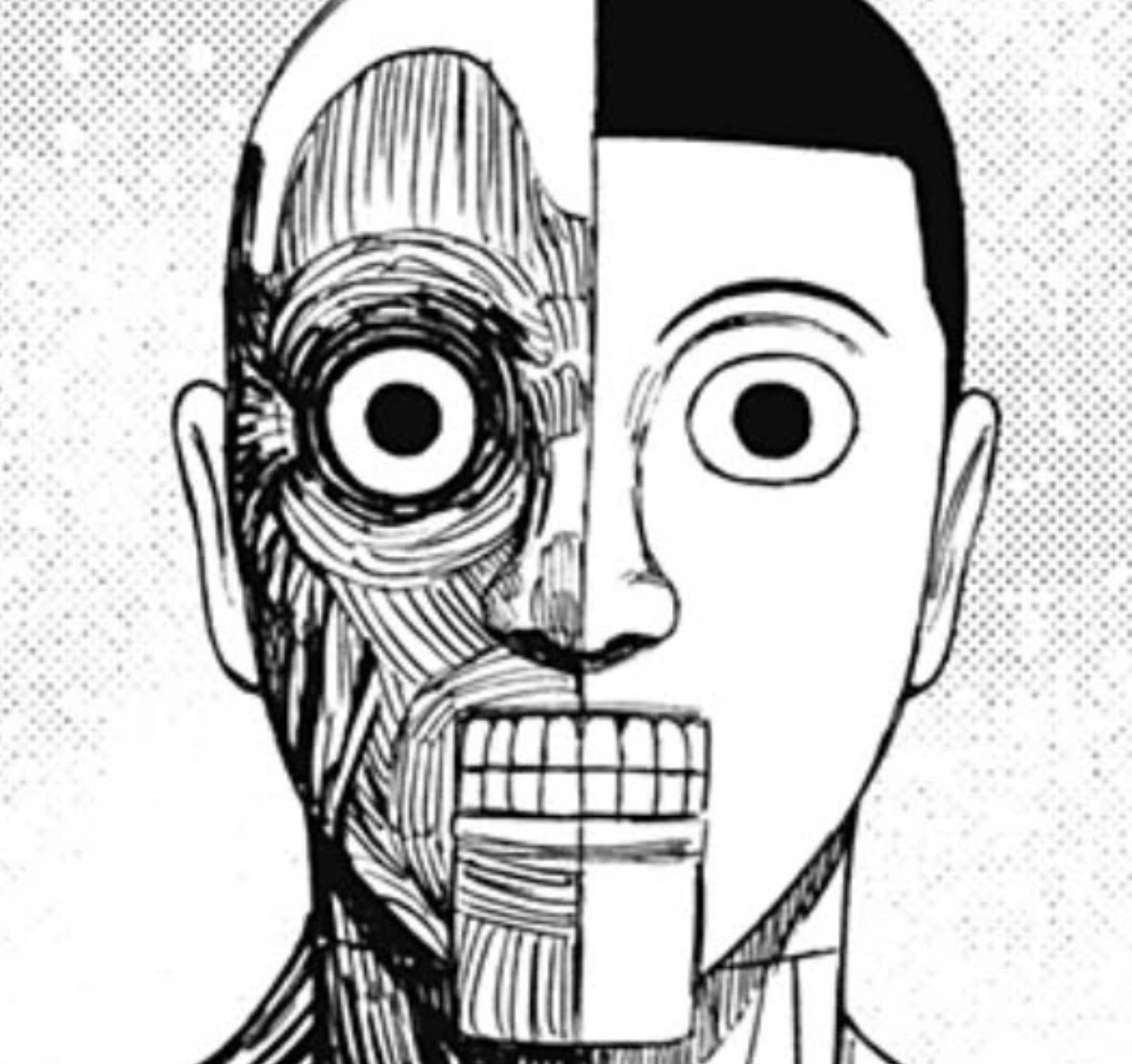 Taro