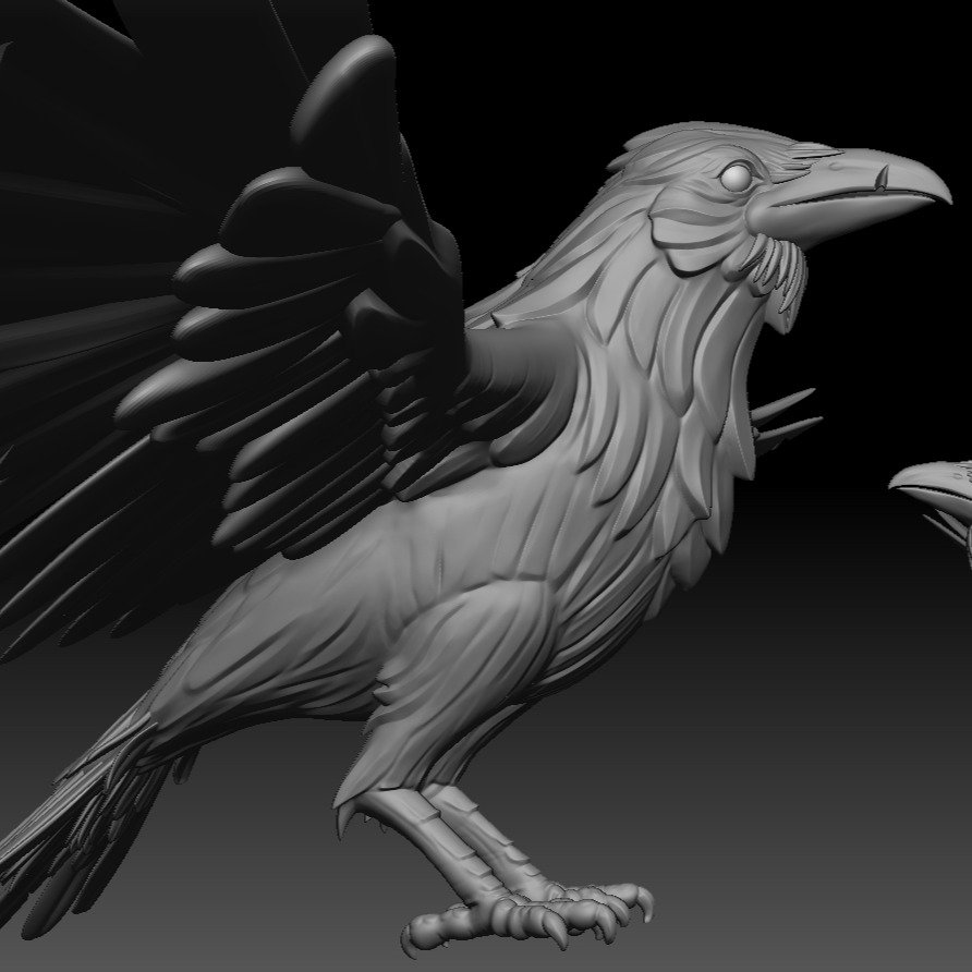 The White Raven