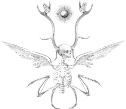 Archangel Lamento Mori, Incarnation of the Fear of Death