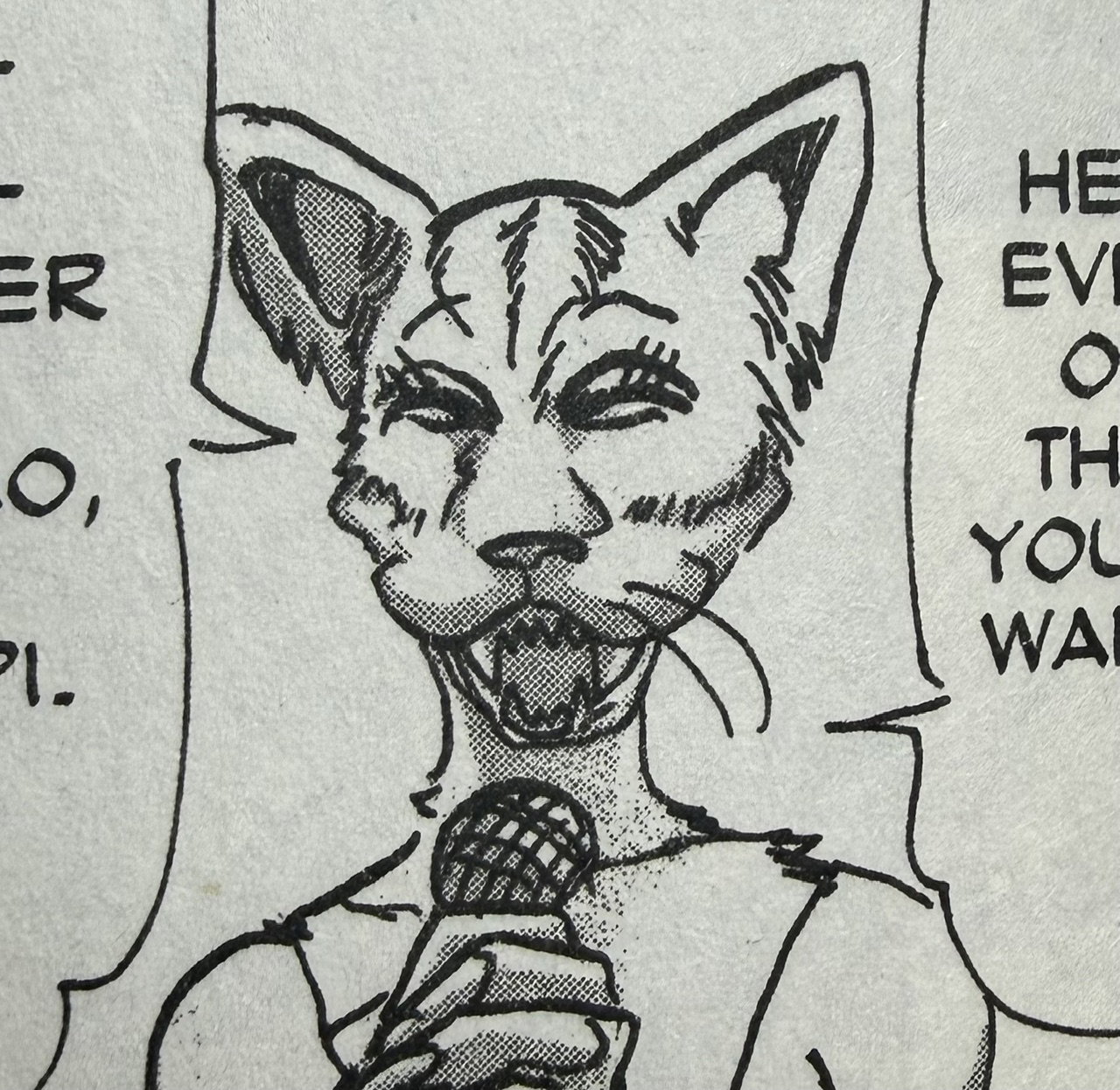 Announcer