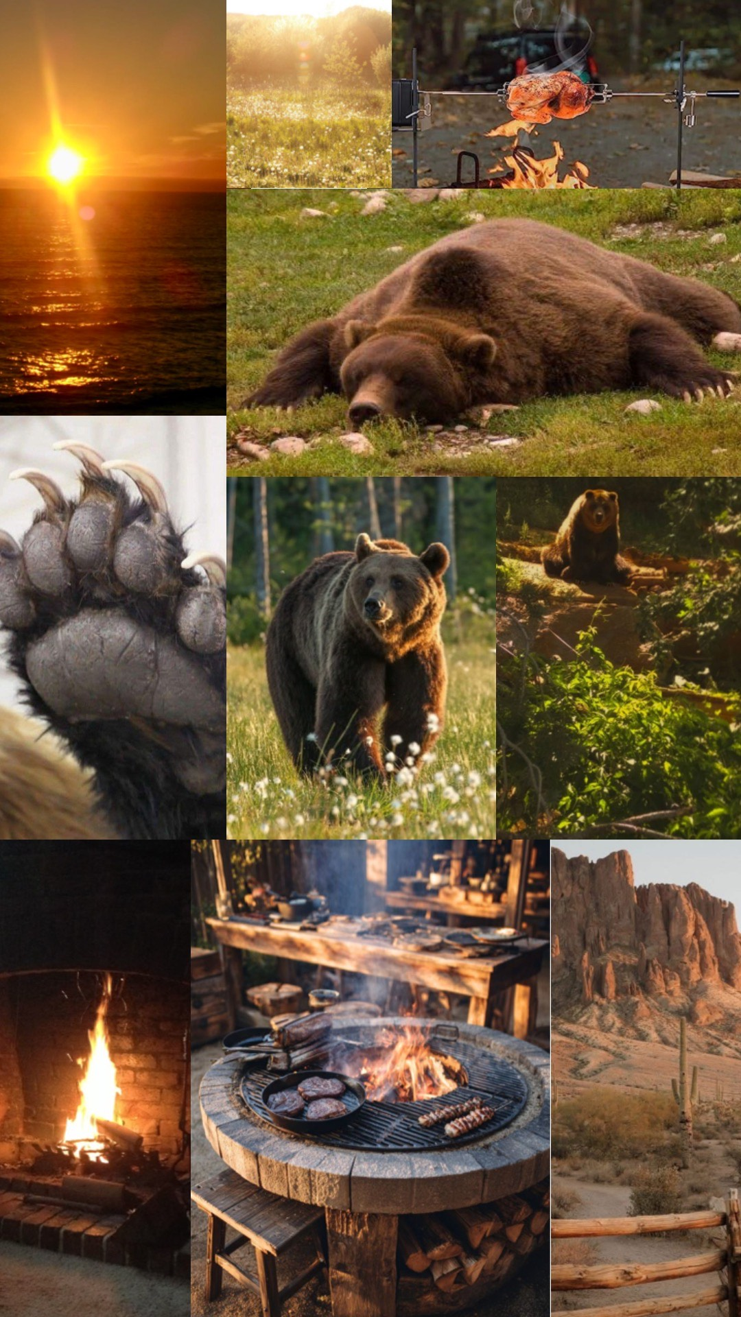 The Bear