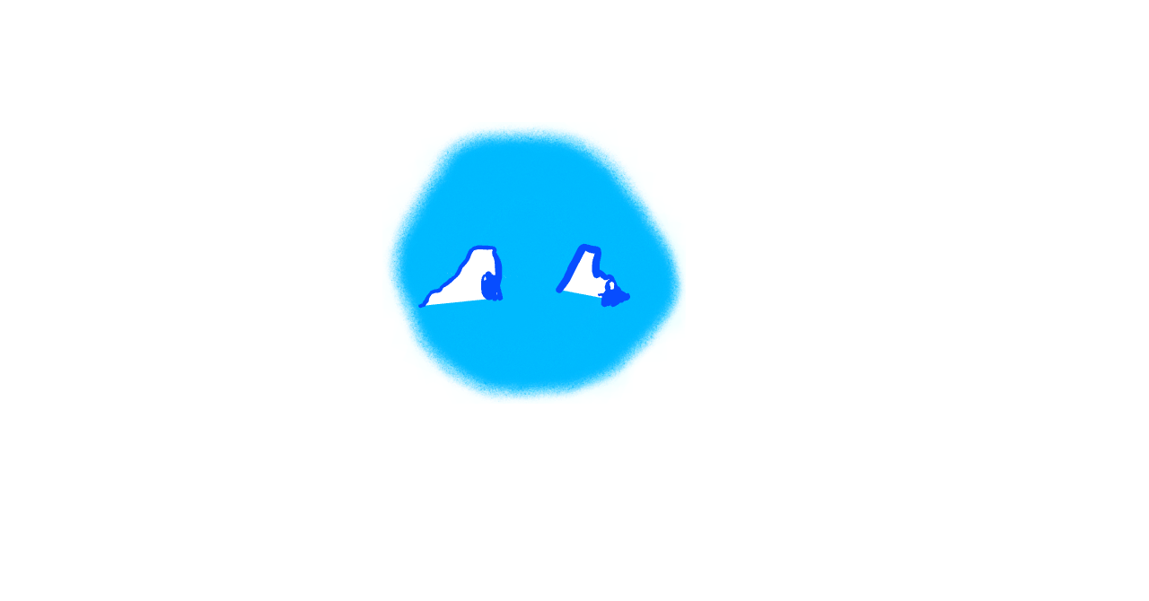 Sky Fly