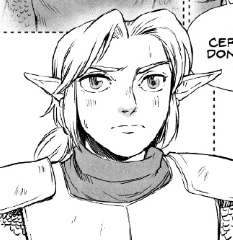 Young Adult Link (20 Years Old)