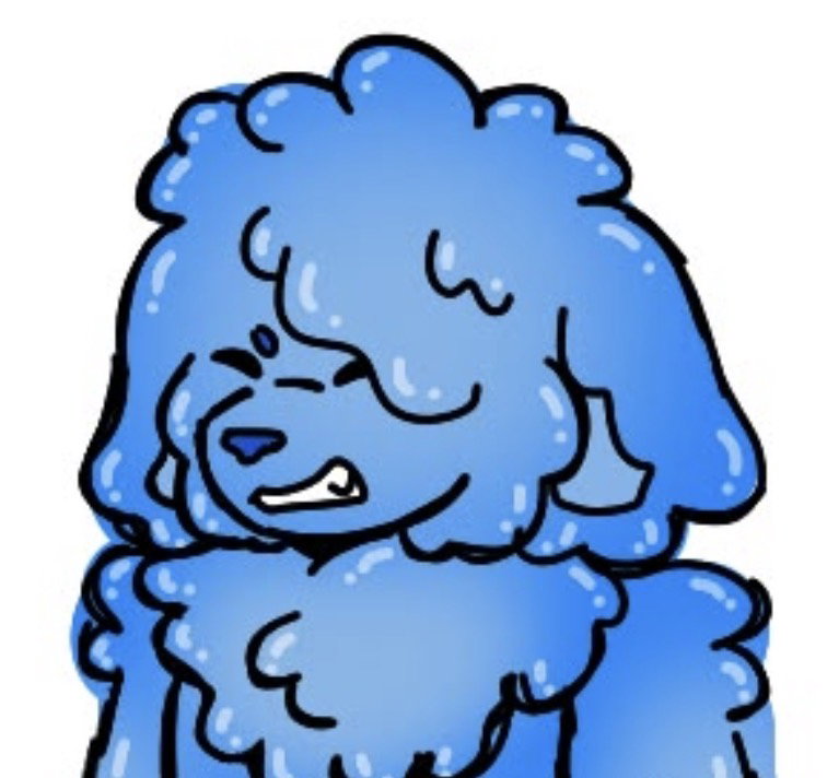 Waterdog (BVA)