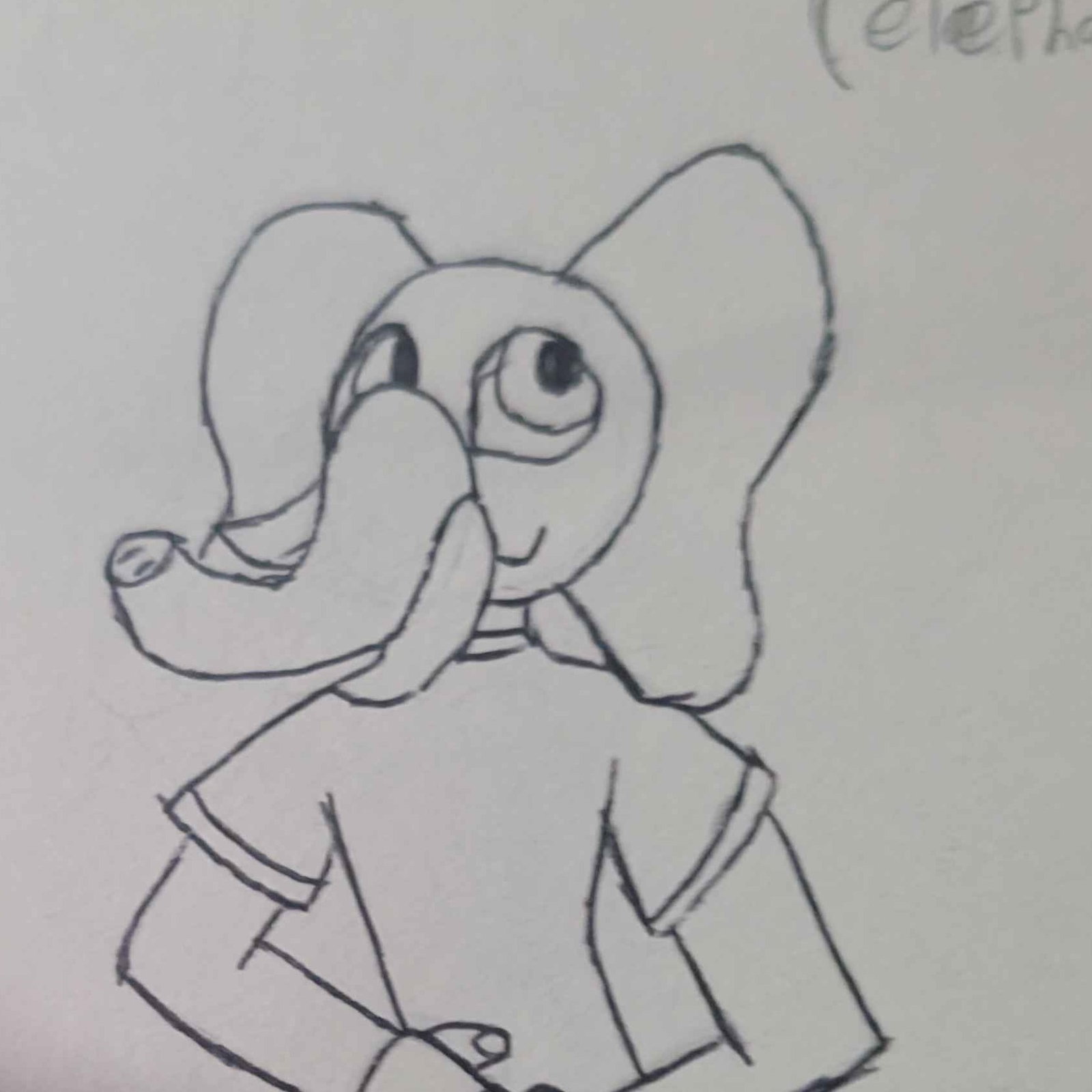 Atlas the Elephant