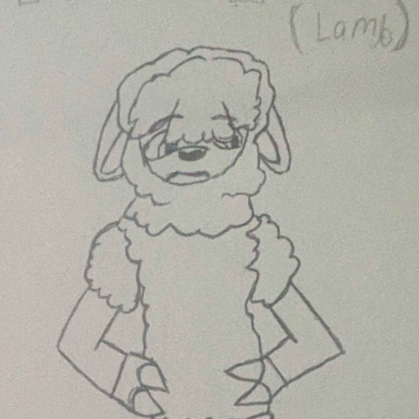 Tilly the Lamb