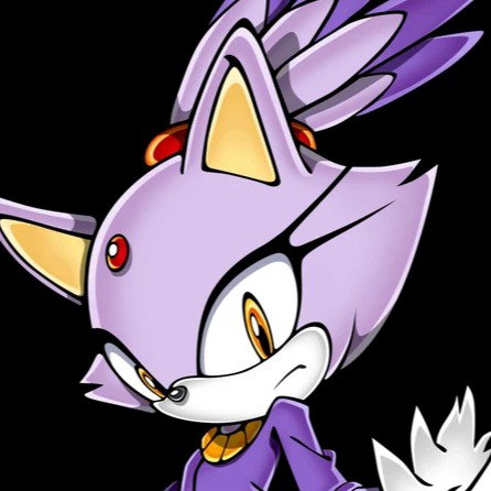 blaze the cat