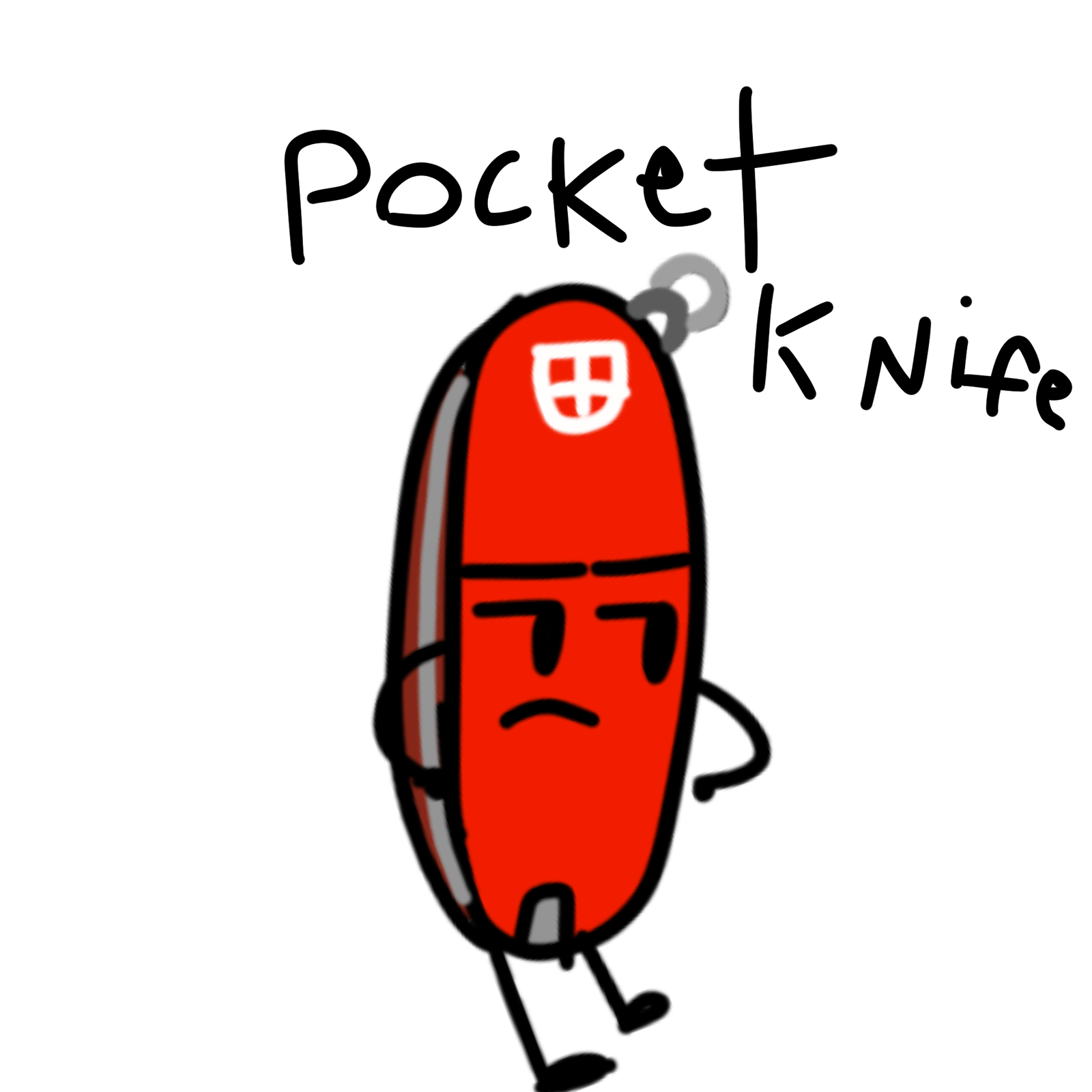 Pocket knife