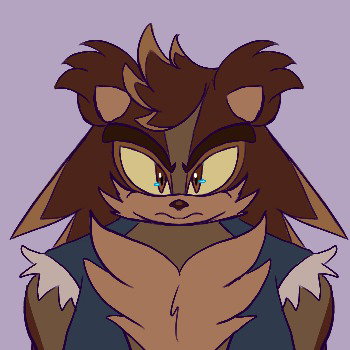Koa Badger