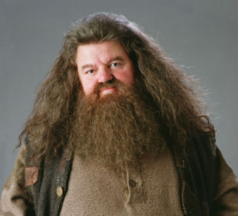 Hagrid 65