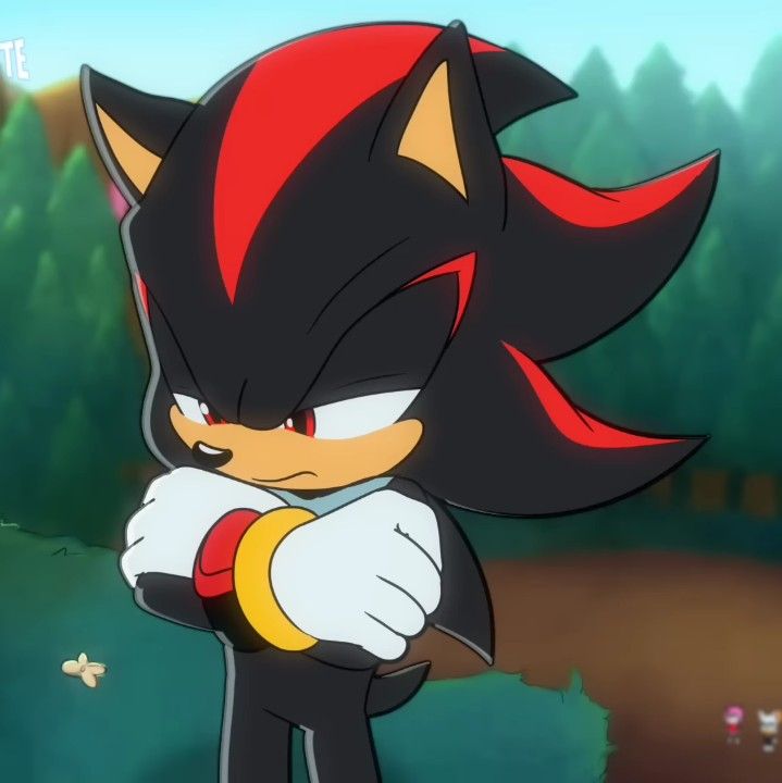 Shadow The Hedgehog