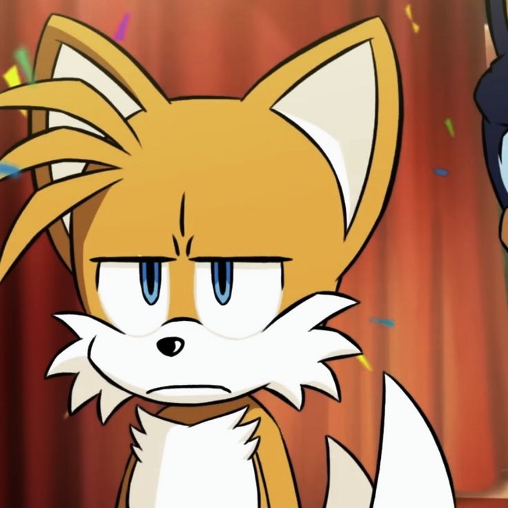 Tails The Fox