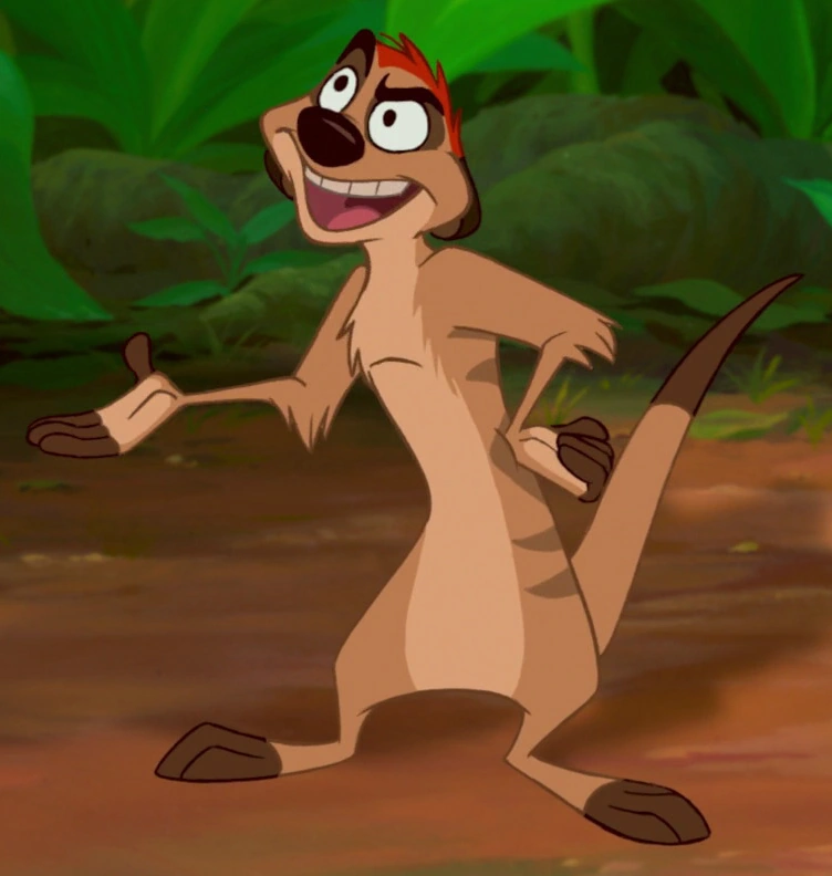Timon