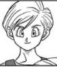 Bulma