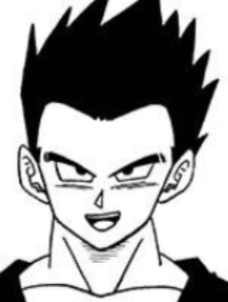 Gohan (adult - DBS)
