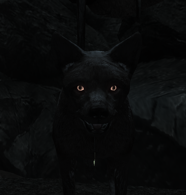 Coyote
