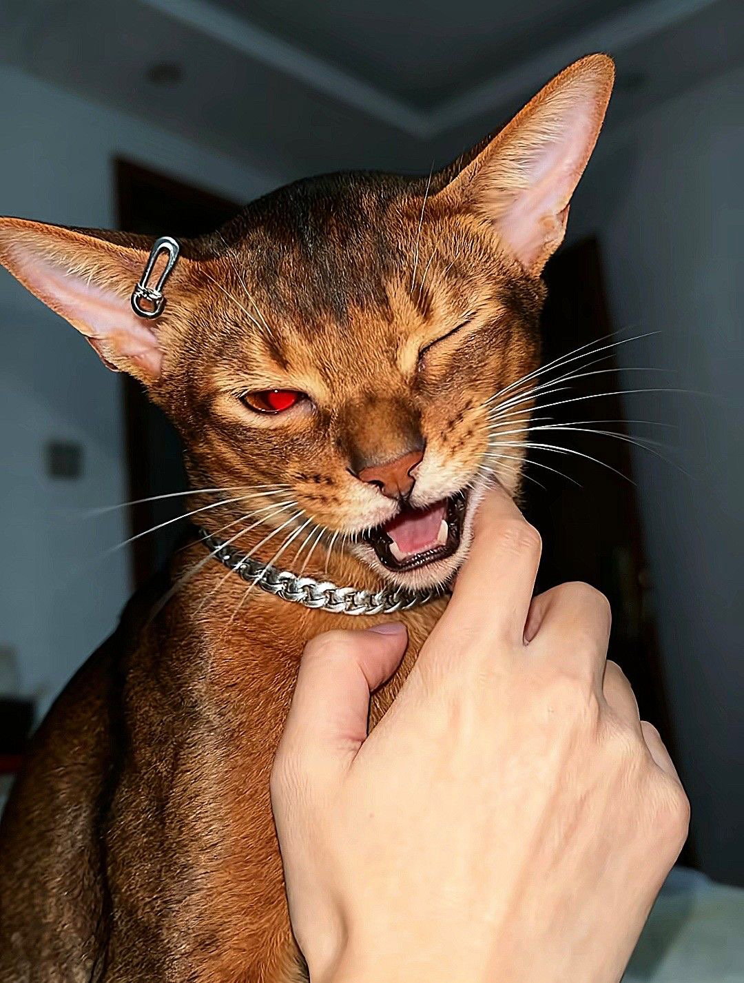 ???