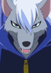 Wolfrun Backup VA