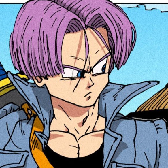 Trunks Briefs