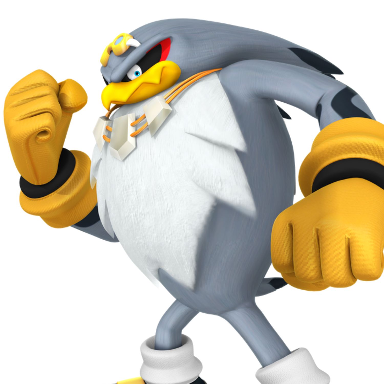 Storm The Albatross