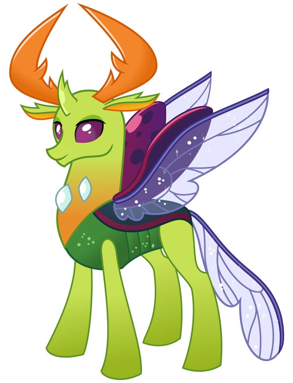Thorax