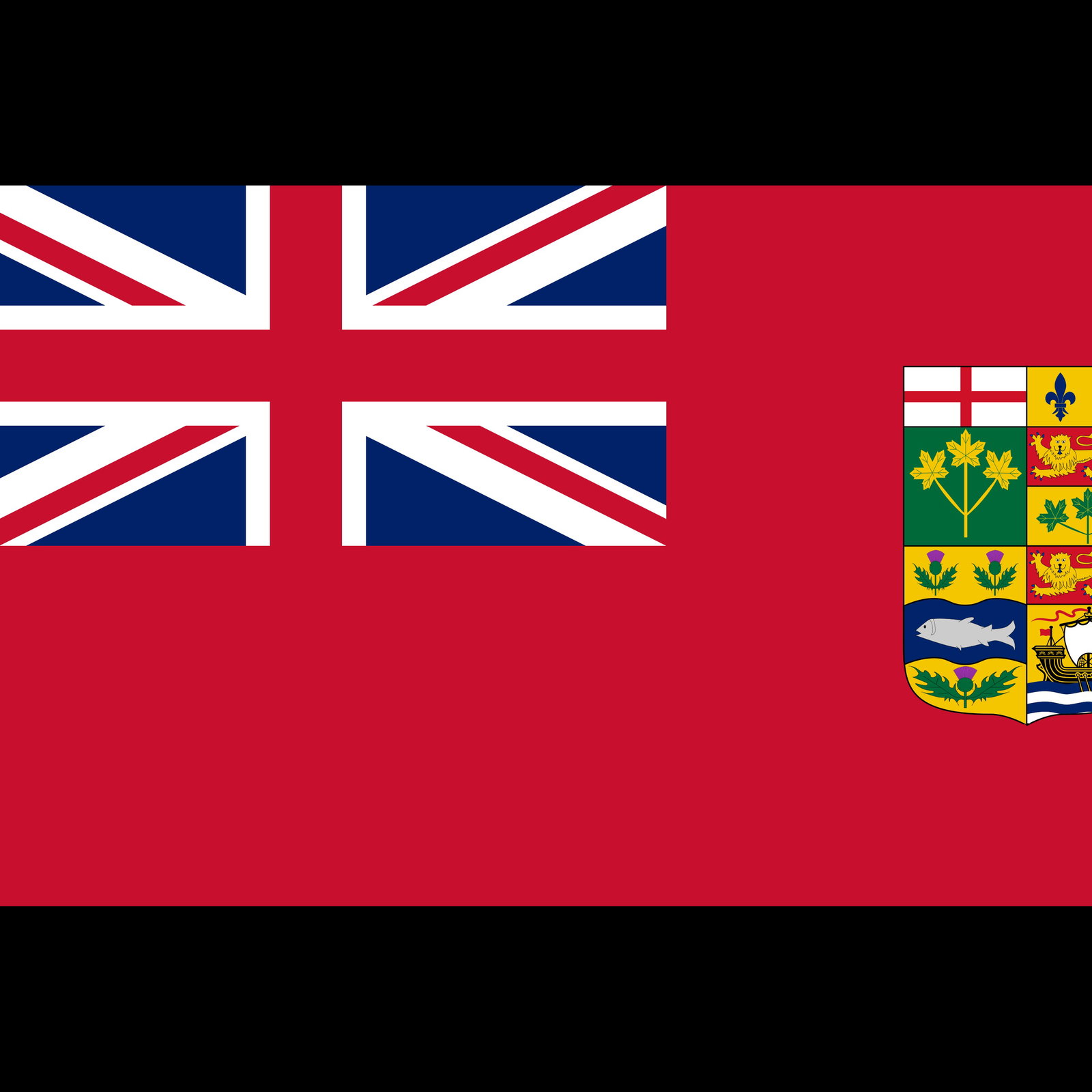 Canadian Soldier