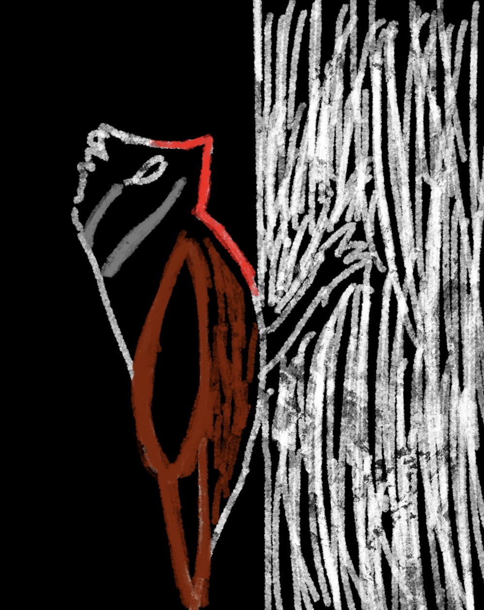 Sapsucker (Supporting Character)