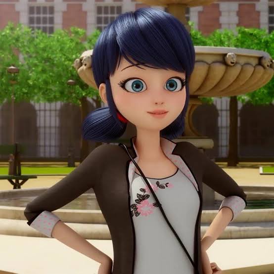 Marinette Dupain-Cheng/Ladybug